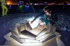 Rose of Five Espresso Buzz